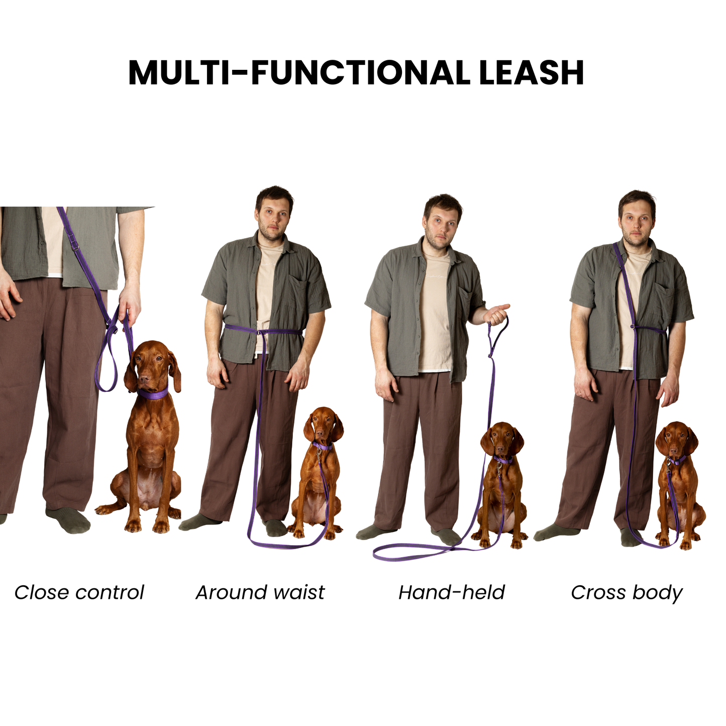 Hands Free Adjustable 4 in 1 Dog Leash - purple color