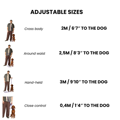 Hands Free Adjustable 4 in 1 Dog Leash - purple color