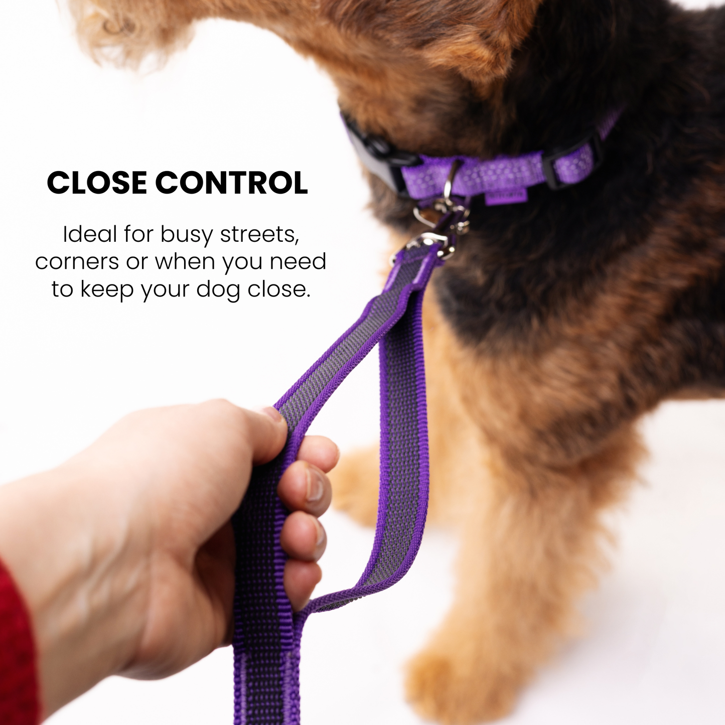 Hands Free Adjustable 4 in 1 Dog Leash - purple color