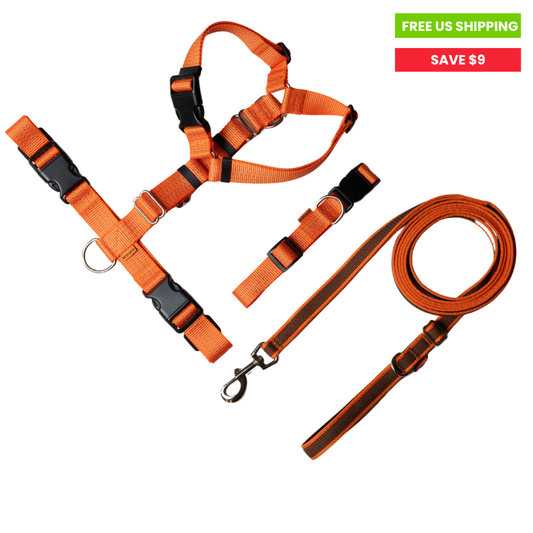 Anatomical Dog Harness, Leash & Collar - Orange Set