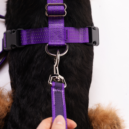 Hands Free Adjustable 4 in 1 Dog Leash - purple color