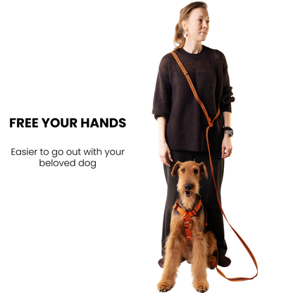 Hands Free Adjustable 4 in 1 Dog Leash - orange color