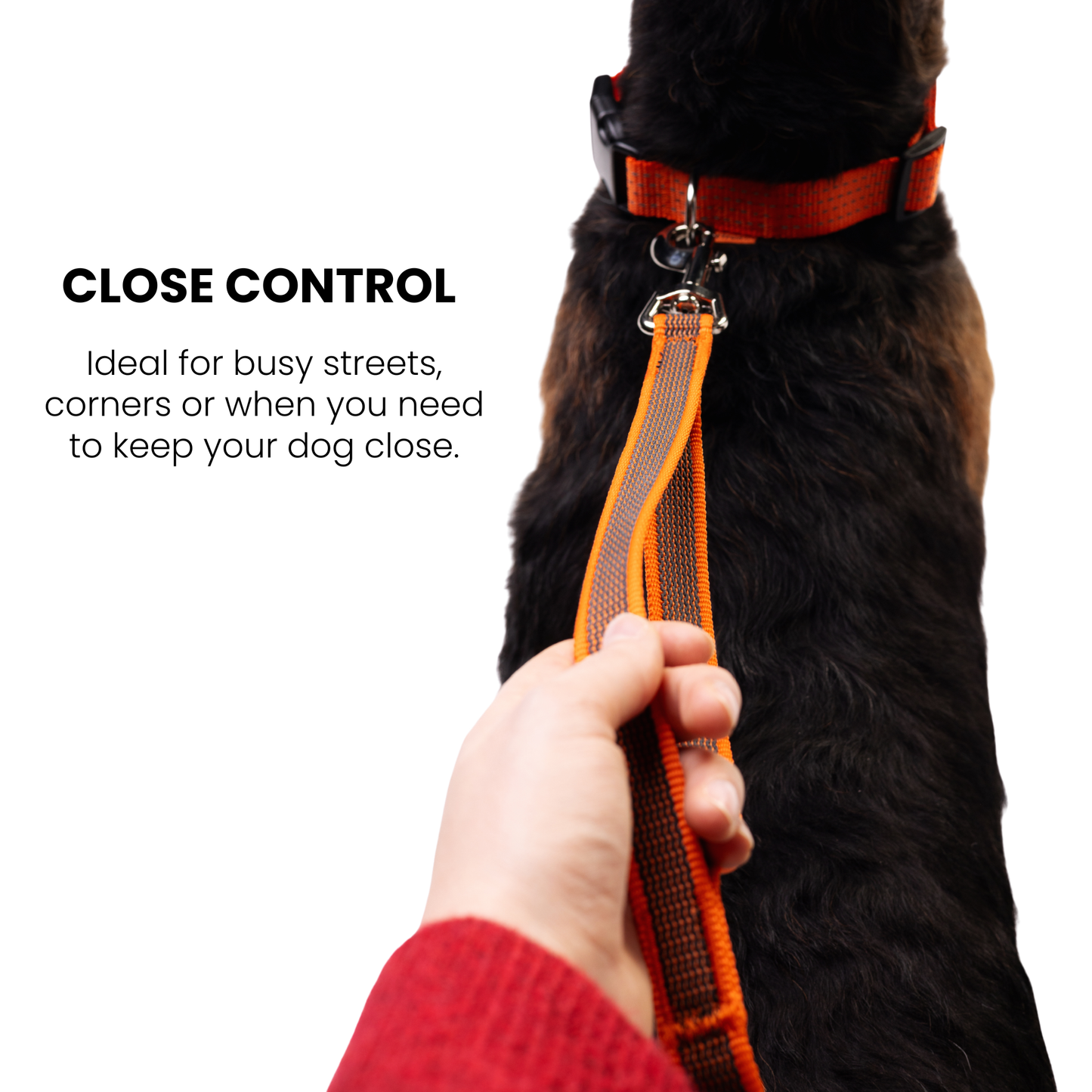 Hands Free Adjustable 4 in 1 Dog Leash - orange color