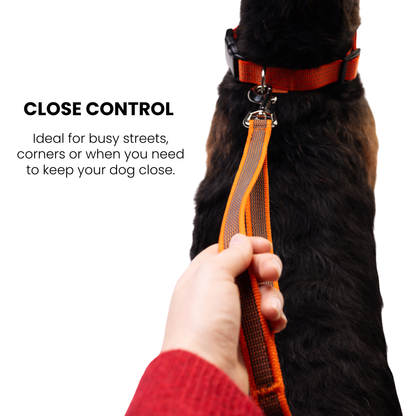 Hands Free Adjustable 4 in 1 Dog Leash - orange color