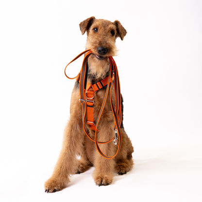 Hands Free Adjustable 4 in 1 Dog Leash - orange color