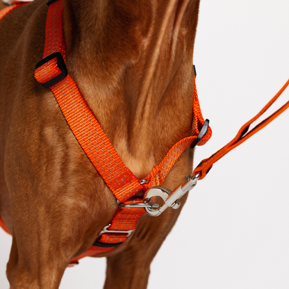 Hands Free Adjustable 4 in 1 Dog Leash - orange color