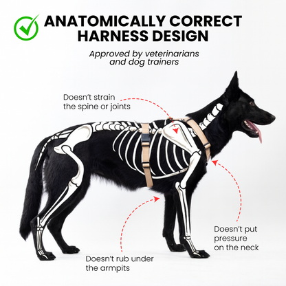 Anatomical Dog Harness - beige color