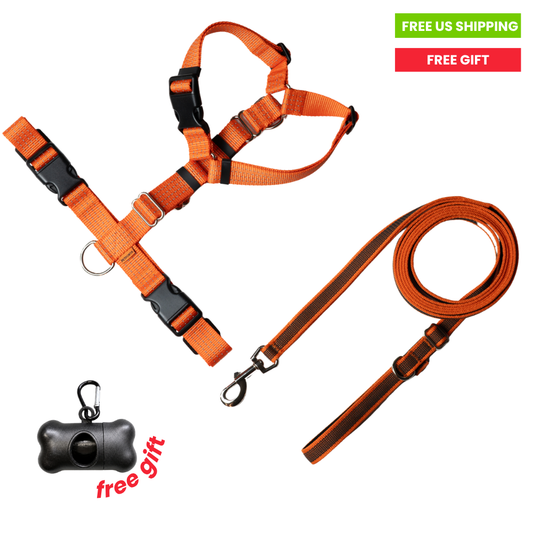 Anatomical Dog Harness, Leash - Orange Set