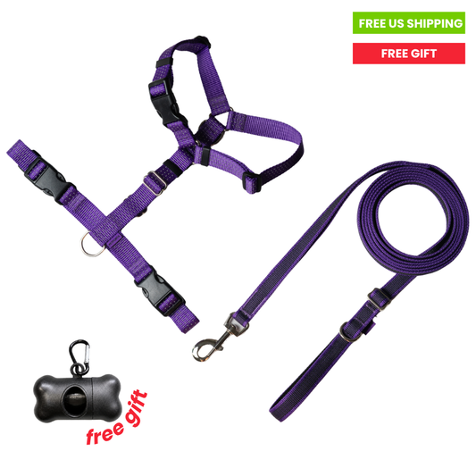Anatomical Dog Harness, Leash - Purple Set