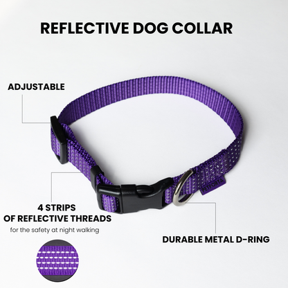 Anatomical Dog Harness, Leash & Collar Purple Set