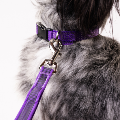 Anatomical Dog Harness, Leash & Collar Purple Set
