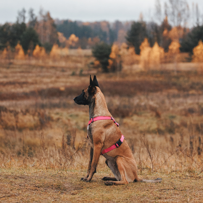 Anatomical Dog Harness - pink color
