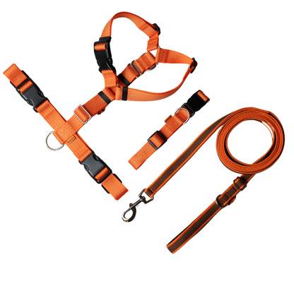 Anatomical Dog Harness, Leash & Collar Orange Set