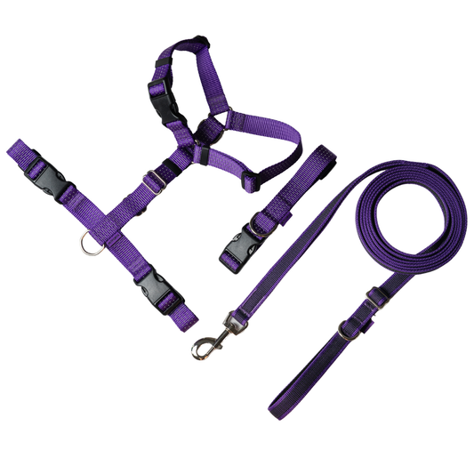 Anatomical Dog Harness, Leash & Collar Purple Set