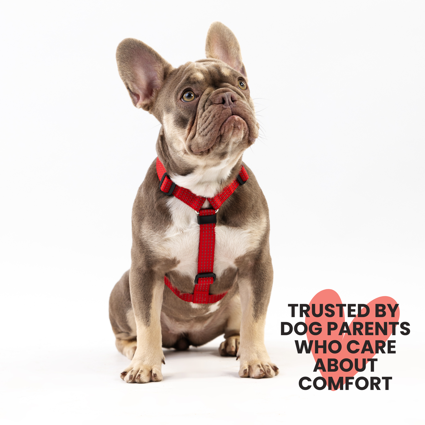 Anatomical Dog Harness - red color