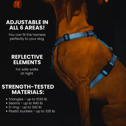 Anatomical Dog Harness - deep blue color
