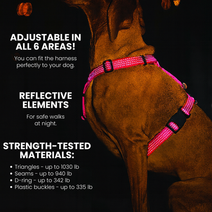 Anatomical Dog Harness - pink color