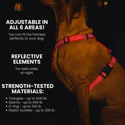 Anatomical Dog Harness - red color