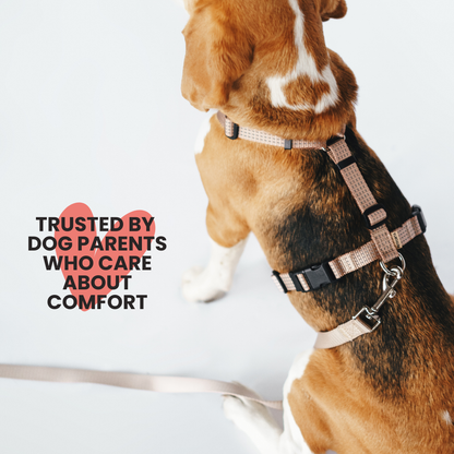 Anatomical Dog Harness - beige color