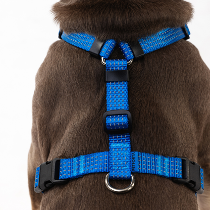 Anatomical Dog Harness - deep blue color