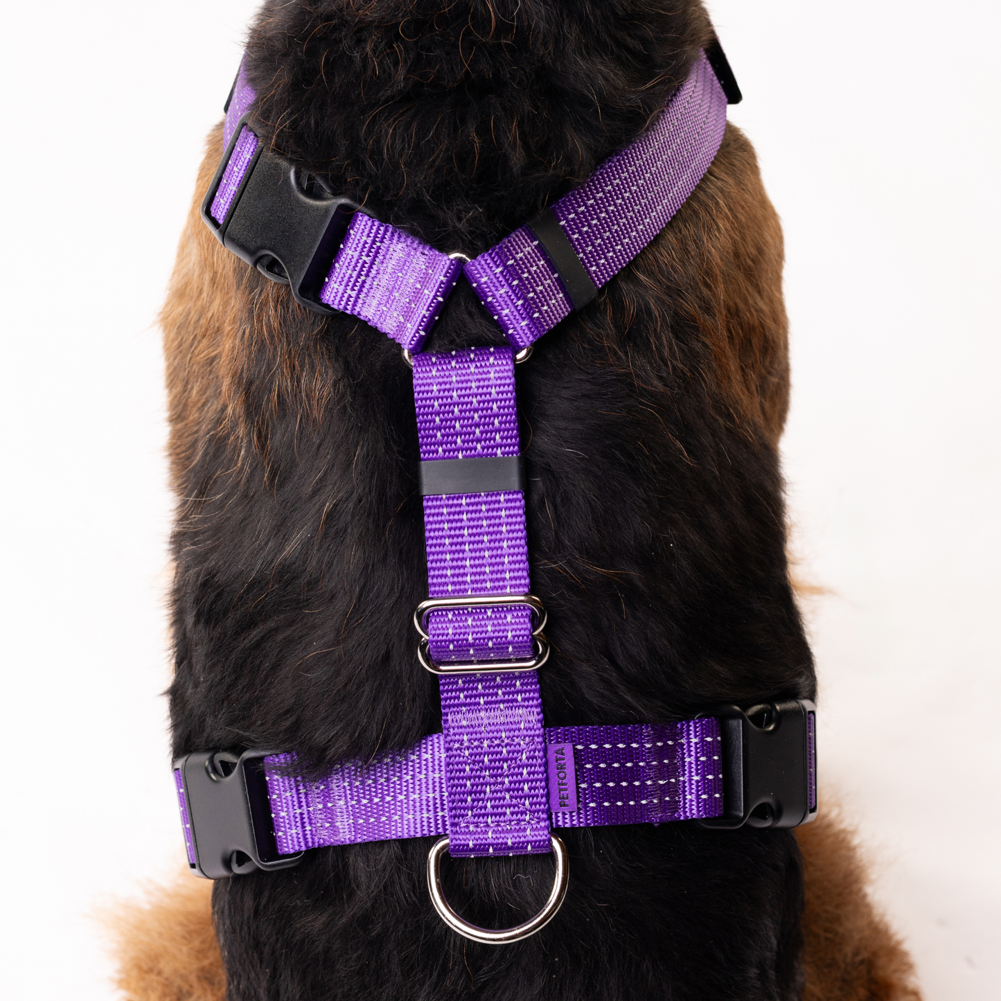 Anatomical Dog Harness, Leash & Collar Purple Set