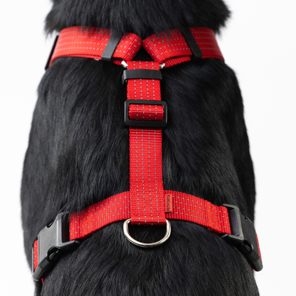 Anatomical Dog Harness - red color