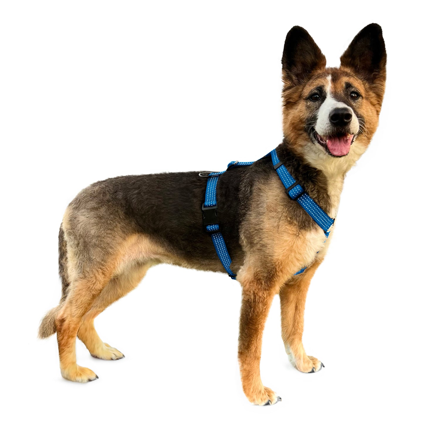 Anatomical Dog Harness - deep blue color