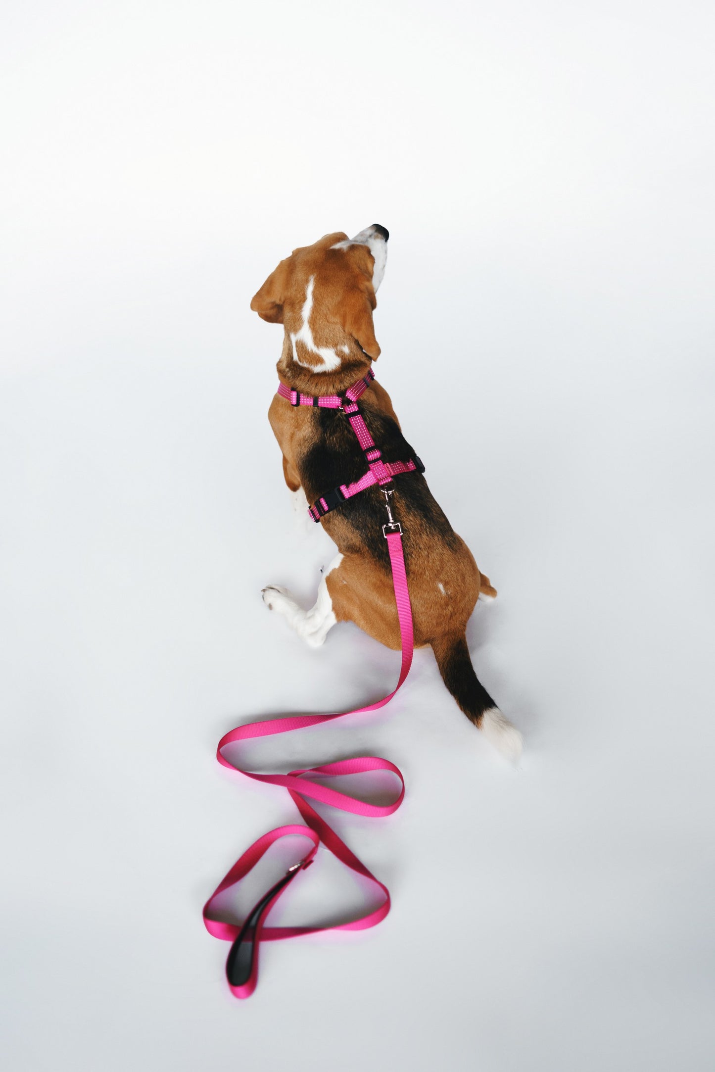 Dog leash with ultra soft handle - pink color