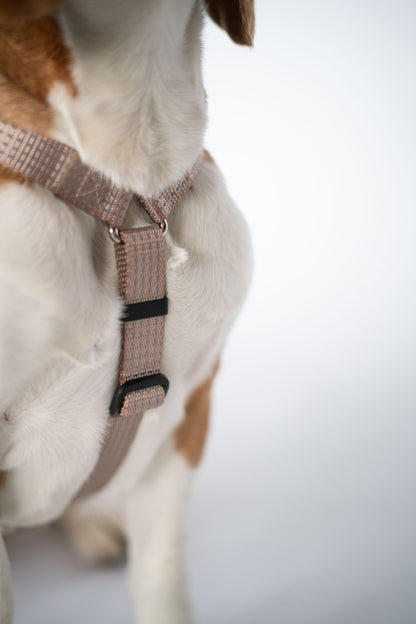 Anatomical Dog Harness - beige color