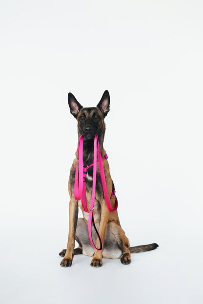 Dog leash with ultra soft handle - pink color