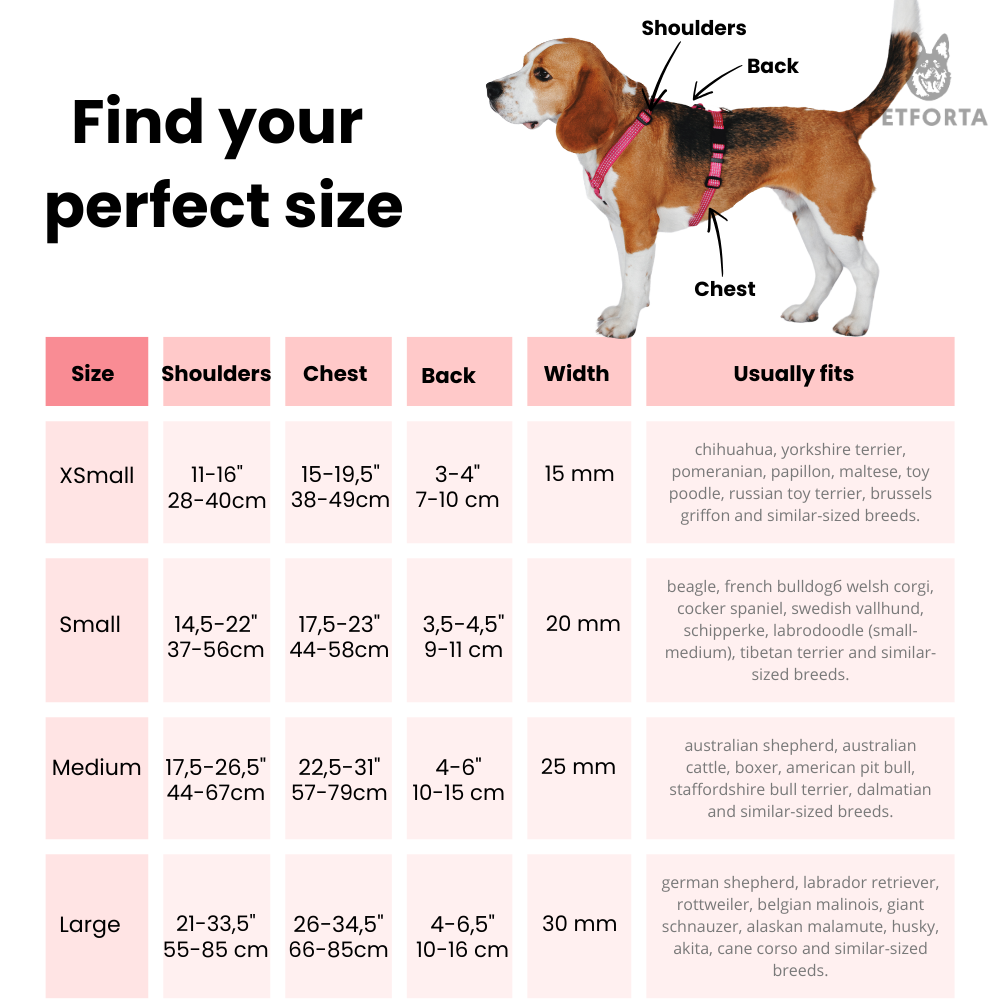 Anatomical Dog Harness - beige color