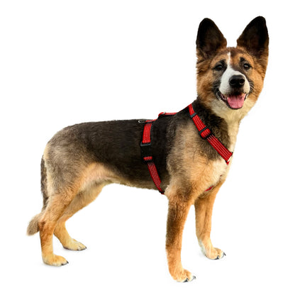 Anatomical Dog Harness - red color